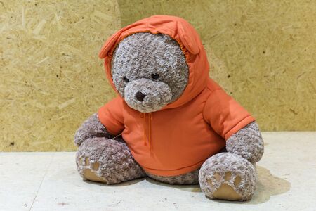 Big teddy bears wearing orange sweater hoodの写真素材