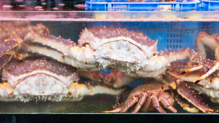 Taraba sea king crabs for sale in Hakodate morning market, Hokkaido, Japanの写真素材