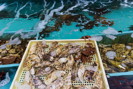 Fresh seafood sale at Hakodate morning market, Hokkaido. Selective focus at shell and crabの写真素材