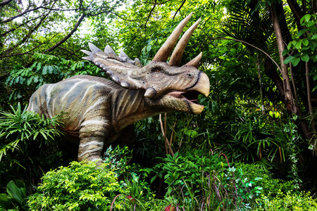 anchiceratops dinosaur model at the parkの写真素材