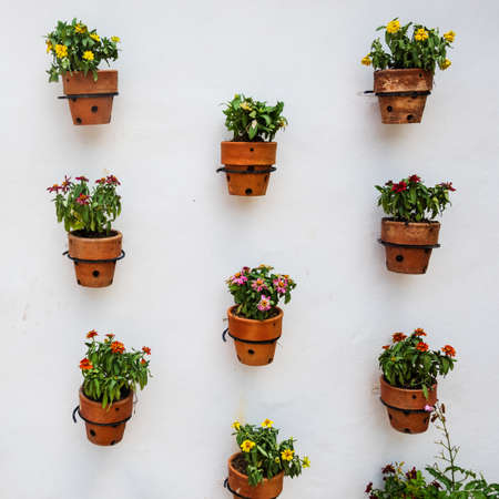Many flower pots decorated on white wallの写真素材