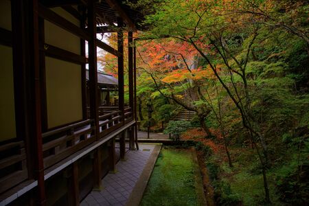 Autumn foliage colors around Eikando Temple, Kyoto, Kansai, Japanの写真素材
