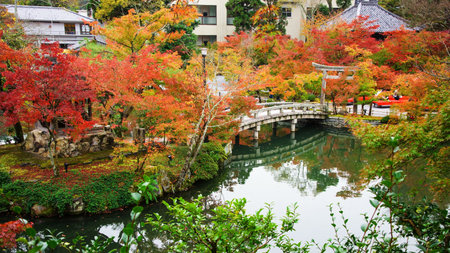 Fall color near the bridge at Eikando Temple in Kyoto, Japanのeditorial素材