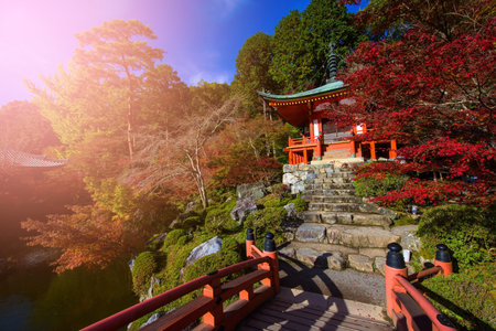 Daigoji Temple with flare light in autumn, Kyoto, Japanのeditorial素材