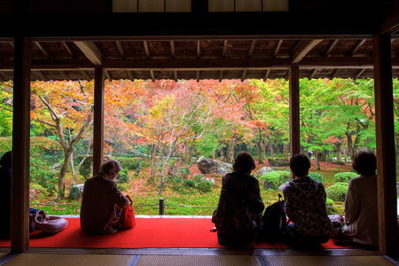 Visitors sit in Enkoji temple to see fall Japanese foliage, Momiji, garden in Kyoto, Japan. Here is Rinzai Zen Sect and very famous during Autumn.のeditorial素材