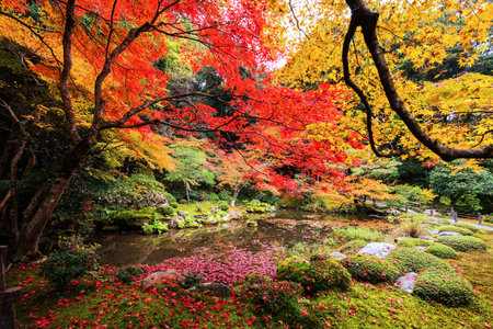Autumn foliage garden at Nanzen-ji Temple, Kyoto, Japan. The most beautiful season to visit...
