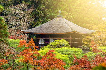 Silver Pavilion or Ginkakuji temple with fall foliage at sunset in Kyoto, Japan, top view shotのeditorial素材