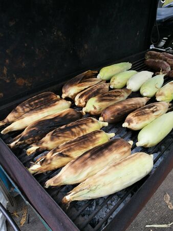 Corn Cob grilling on a old stove for saleの写真素材