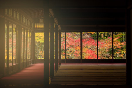 Japanese temple Interior with autumn foliage colors at sunset of Tenju-an and Nanzen-ji temple, Kyoto, Japanのeditorial素材