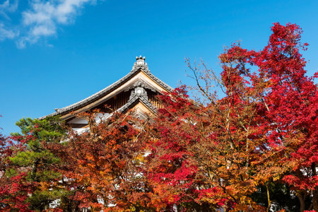 Eikando temple roof against autumn foliage and blue sky, Kyoto, Japanのeditorial素材