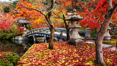 Autumn red maple foliage surround Eikando shrine and bridge, Kyoto, Japan. It's the peak fall colors period on 22 Nov 2016.のeditorial素材