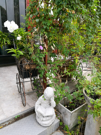 White orchid on Vintage cart for house garden decorationの写真素材