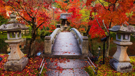 Eikando Zenrinji Temple with red autumn foliage colors in Kyoto, Japanのeditorial素材