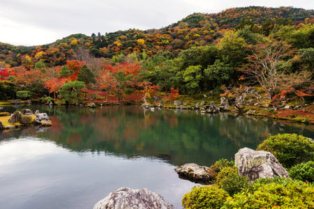 Autumn foliage at zen garden in tenryu-ji temple, Arashiyama, Kyoto, Japanのeditorial素材