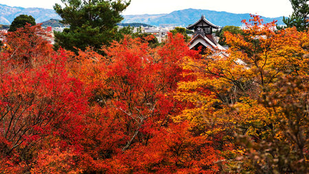 tenryu-ji temple roof against autumn foliage color in Arashiyama, Kyoto, Japanのeditorial素材