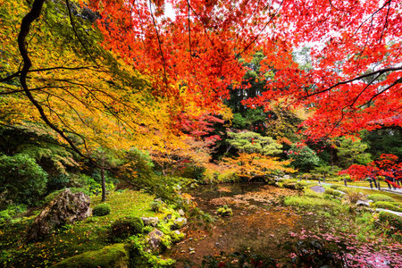 Autumn garden at Nanzen-ji Temple, Kyoto, Japan. The most beautiful season to visit Nanzen-ji temple is autumn.のeditorial素材