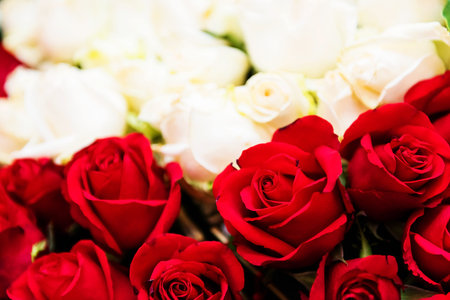 Red rose flowers interior decoration for valentine eventの写真素材