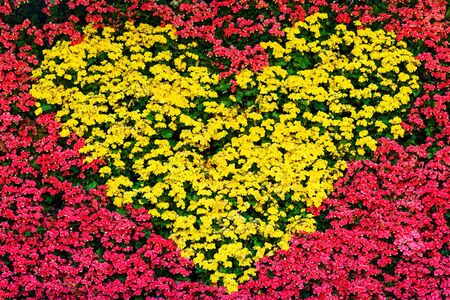 Heart sign flower decoration in the garden for valentineの写真素材