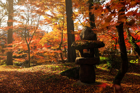 Stone pagoda with autumn leaf garden and sunset light in Eikando, Kyoto, Japanの写真素材