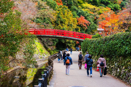 People at Red bridge with Autumn foliage colors at Minoo waterfall and Takianji temple in Osaka, Japanのeditorial素材