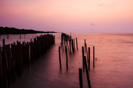 Twilight sky over soft motion sea and bamboo logs. Long exposure captureの写真素材