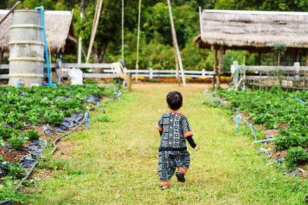 Hilltribe child with traditional Akha fabric dress walking in farmの写真素材