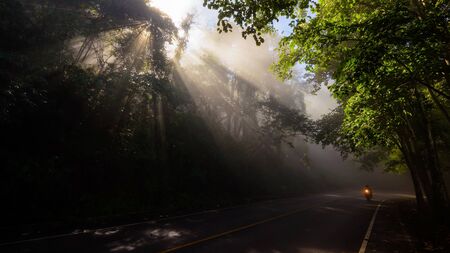 Bicycle on curve road through forest with light beams and sun raysの写真素材
