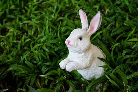 white fake rabbit toy in the grassの写真素材