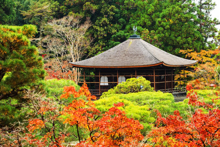 Silver Pavillion, Ginkakuji temple with autumn foliage colors by top view, Kyoto, Japanのeditorial素材