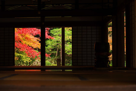 Autumn garden view from wooden building at Nanzen-ji, Kyoto, Japanのeditorial素材
