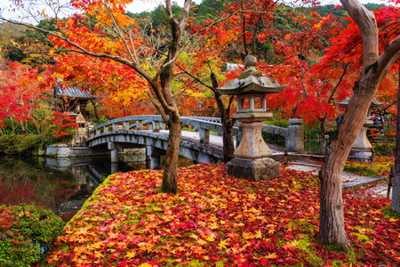 Eikando shrine and bridge at peak autumn foliage colors on 22 Nov 2016 with red maple carpet, Kyoto, Japan.のeditorial素材