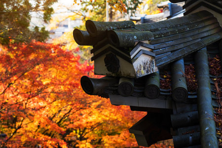 Eikando temple roof against autumn red foliage colors in Kyoto, Japanのeditorial素材