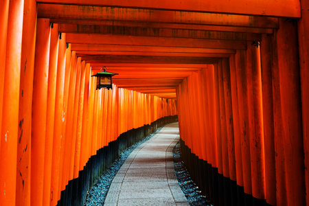 Curve footpath of Red Tori Gate in Fushimi Inari Shrine in Kyoto, Japanのeditorial素材