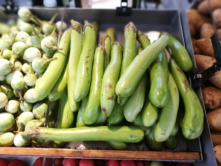 Green Eggplant for sale in Thai Super marketの写真素材