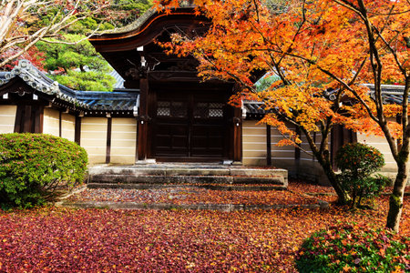 Fall foliage colors at Eikando Temple in Kyoto, Japanのeditorial素材