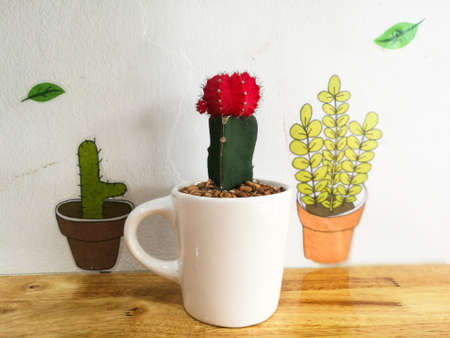 Closeup fresh red cactus on white cup decorated on wooden table with cute plant painted on the wallの写真素材