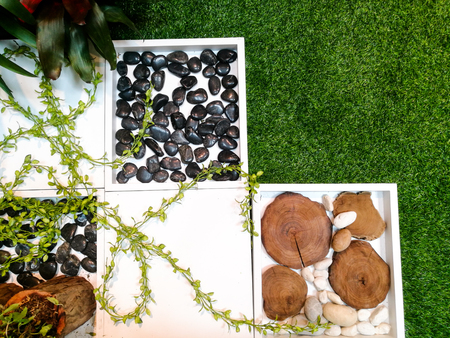 Grass, stone, rock,and climber plant for textured background, garden designの写真素材