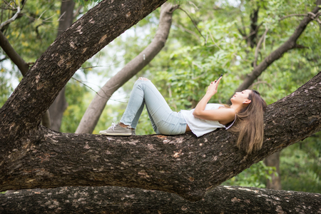 Asian Beautiful happy  woman lying on big tree  and playing social media from smartphone. Brunette girl relax in summer park.の写真素材