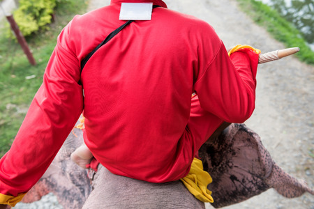Closeup shot of Thai mahout man with traditional antique dress ride and control elephant to take visitors to view Ayutthaya historic park, Thailand.の写真素材