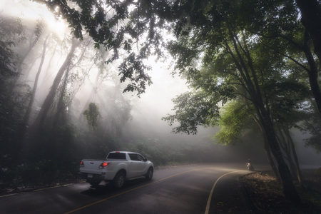 SUV pickup car vehicle driving at scenic local curve street with mist, sun rays light, and beautiful green forest. Family road trip travel to Phu Chi Fa, Chiang Rai, Thailand.の写真素材