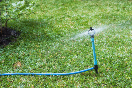 Sprinkle spray water on green field. Garden irrigation system watering to lawn.の写真素材