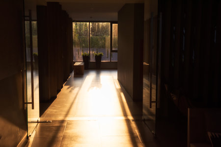 windows with orange sunset light leak at greenery modern office building in evening. Silhouette inetior architecture with natural greenery plant concept.のeditorial素材