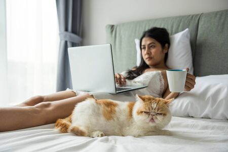 Beautiful sexy Asian tan woman in white pajama use laptop, drink coffee while exotic shorthair yellow cat sit on bed in modern bedroom. Relax and shopping online in weekend.の写真素材