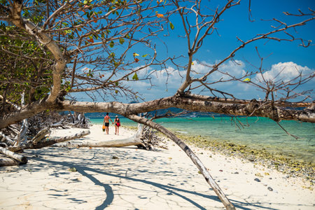 Foreign tourist couple walk on white sand beach with big tropical tree foreground at koh Poda...