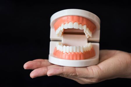 Dentist hand hold jaw teeth anatomy model isolated on black background with copy space for text. dental health care and orthodontic education concept.の写真素材