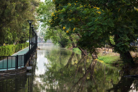 Biking lane along clean canal and green tree environment with reflection on water in Rot Fai or Wachira Benchathat park, Bangkok, Thailand. Sport and healthy lifestyle.の写真素材