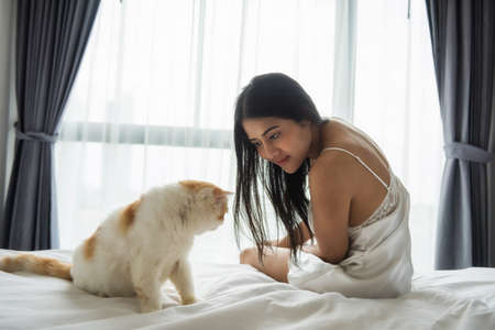 Beautiful attractive Asian tan woman with white pajama look and play with yellow exotic shorthair brown cat at white curtain in modern bedroom. Long hair girl relax with pet in morning.の写真素材
