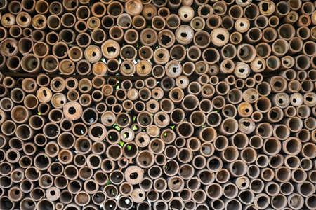 Stack of bamboo cylinder tree decoration. Exterior design at wall.の写真素材