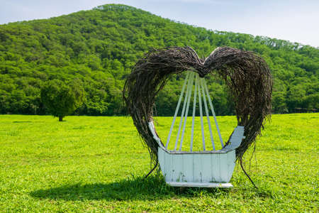 Heart shape wooden chair in front of beautiful tree against blue sky and mountain in summer park.の写真素材