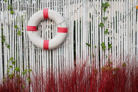 swim rubber decorated on white bamboo wall and red fake grassの写真素材